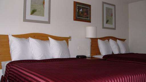Hotel Oyster Bay & 3*
